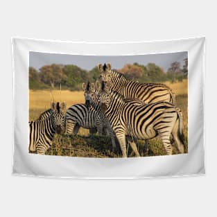 A Zeal of Zebras Tapestry