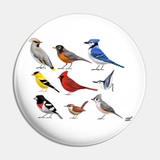 The year of the bird (North America) Pin