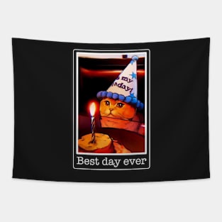 Cat meme birthday funny cake, best day, it's my party Tapestry