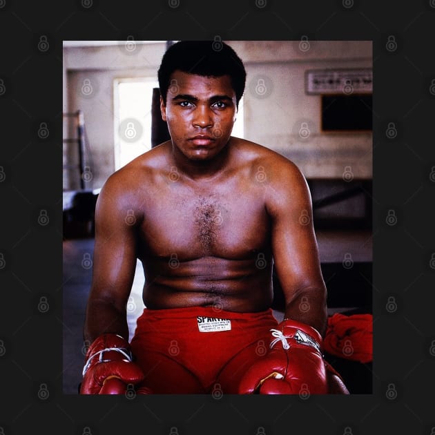 Muhammad Ali A great man, A great American My hero by ANDREANUS