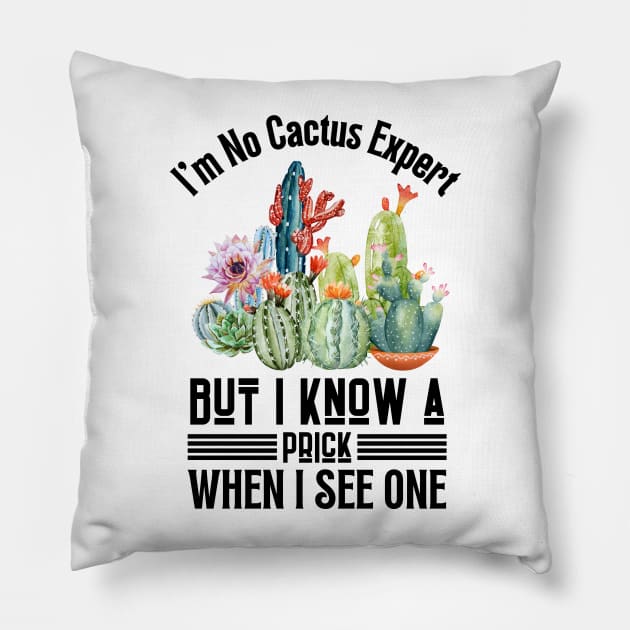 I'm No Cactus Expert But I Know A Prick When I See One Pillow by JustBeSatisfied