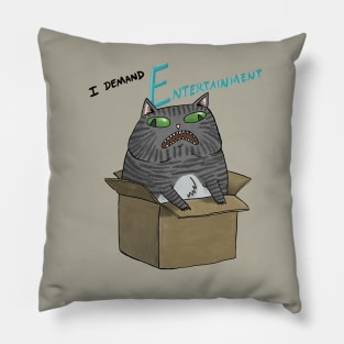 I demand entertainment! Pillow