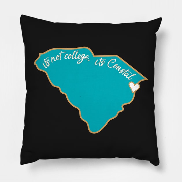 Its Not College its Coastal Pillow by LFariaDesign