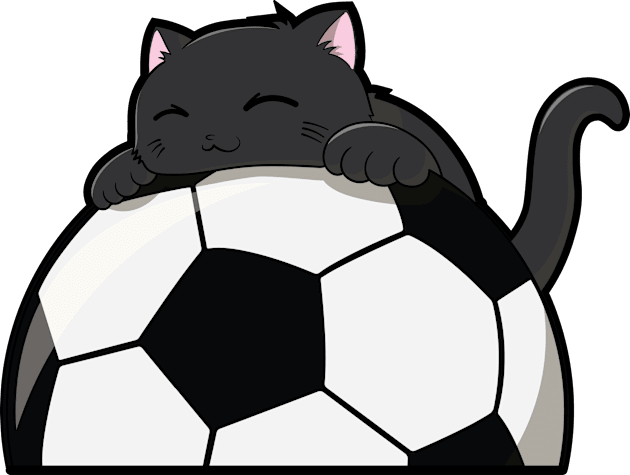 Cute Cat Hugging A Soccer Ball Kids T-Shirt by The Kitten Gallery