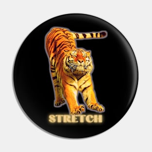 Large tiger doing a stretch exercise - silver gold 1 Pin