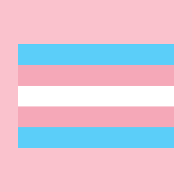 Transgender flag by JunkyDotCom