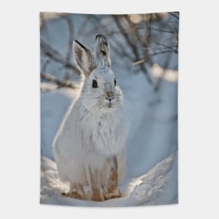 Snow Shoe Hare Tapestry