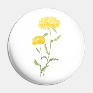 2 yellow yarrow watercolor Pin