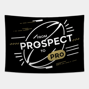 From Prospect to Pro Tapestry