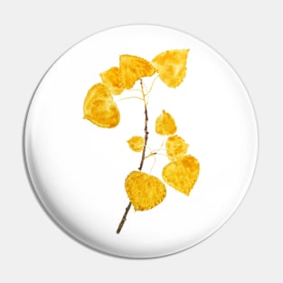 bright yellow birch leaves branch Pin