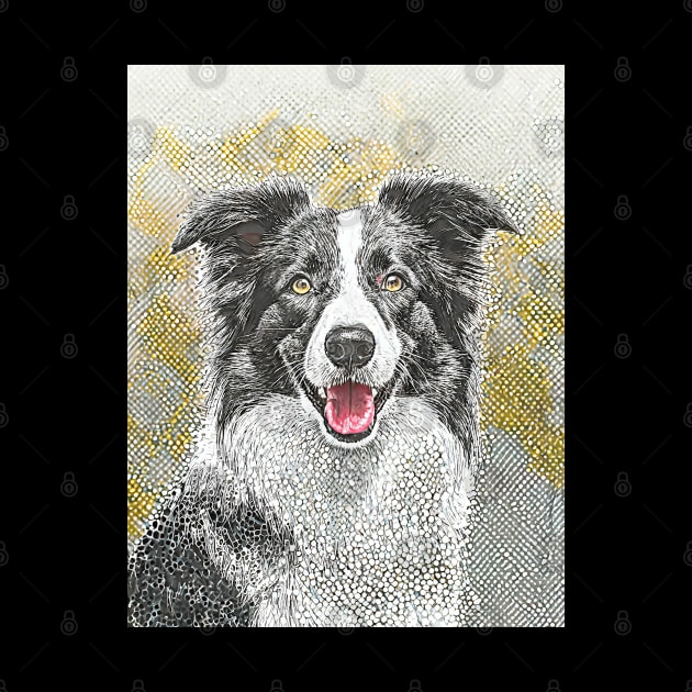 Dog Portrait - Border Collie by Dec69 Studio