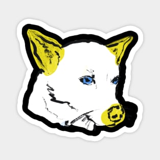 jindo pop art Magnet