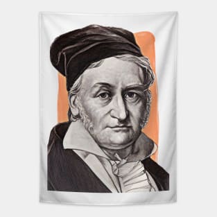 German Mathematician Carl Friedrich Gauss illustration Tapestry