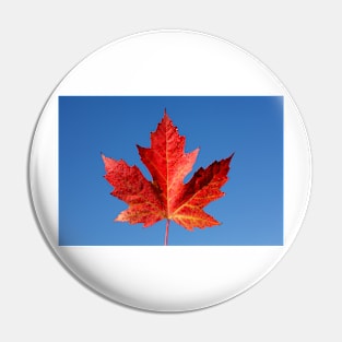 Red maple leaf and blue sky, Germany Pin