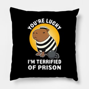 You're lucky I'm terrified of prison Capybara Jail Pillow