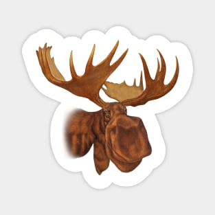 Moose Magnet