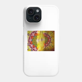 Mandala Phone Case