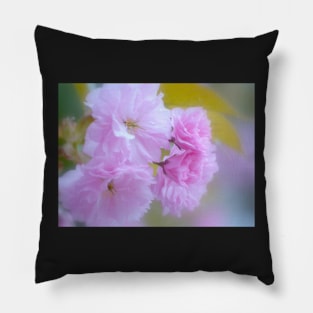 Blossom Sunday Pillow