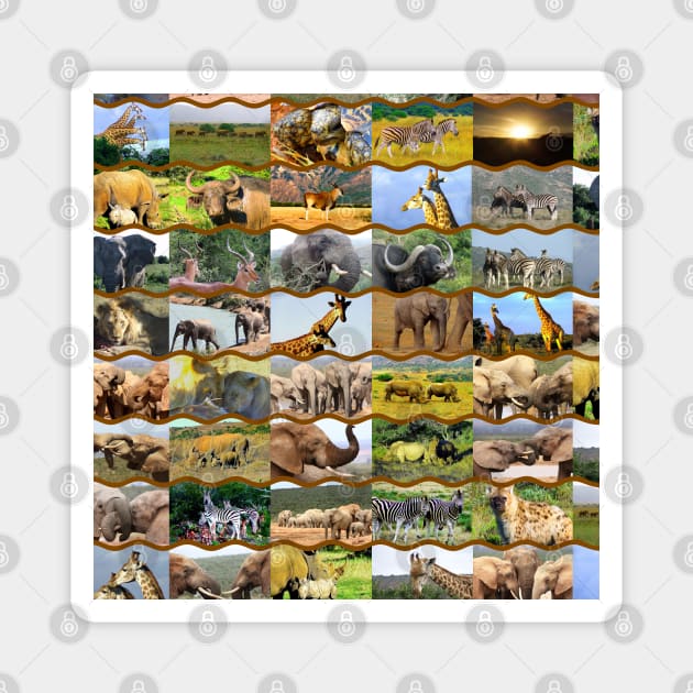 African Wildlife Collage Wave Lines Brown Magnet by PathblazerStudios