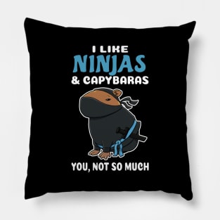 I Like Ninjas and Capybaras you not so much cartoon Pillow