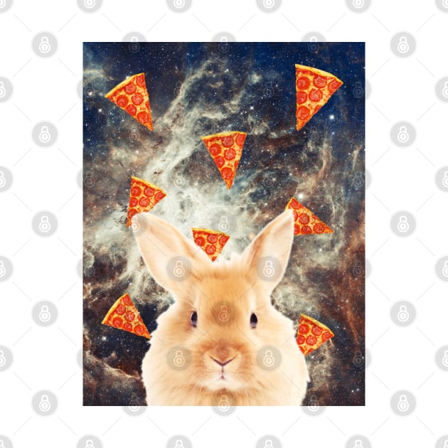 Bunny in flying pizza space by reesea