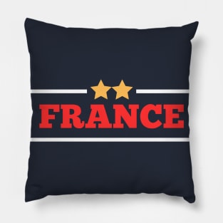 Bleus Brilliance Pillow