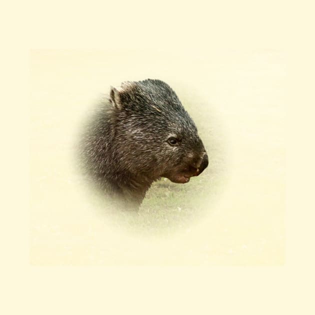 Wombat by Guardi