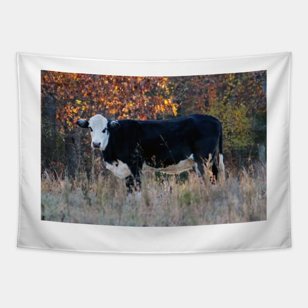 Cow In The Meadow Tapestry by Cynthia48