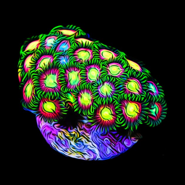 Zoa Garden by unrefinedgraphics