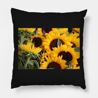 Tuscan Suns Pillow