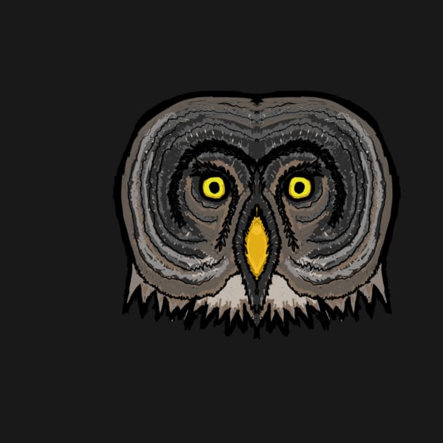 Great Grey Owl by StevenElliot