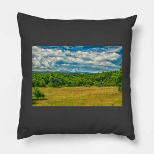 Virginia Summer Meadow Pillow