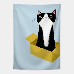 Cat in Box Tapestry