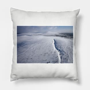 Winter Pillow