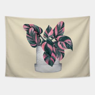 Philodendron Pink Princess Tapestry