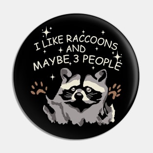 I Like Raccoons And Maybe 3 People Pin