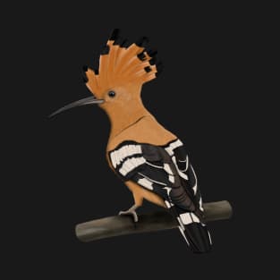 Hoopoe Bird Art Birdlover Birdwatcher Animal Ornithologist T-Shirt