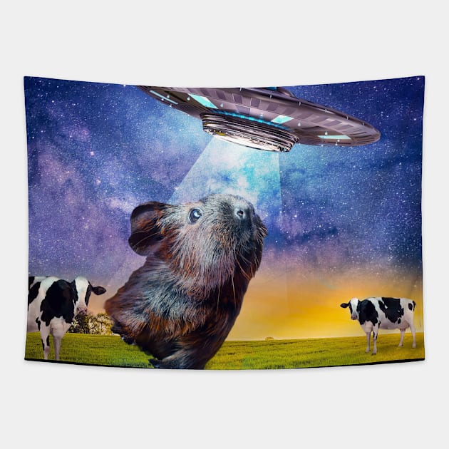 Guinea Pig UFO Abduction Tapestry by Random Galaxy