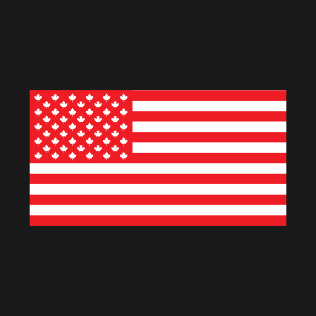 Canadian American Flag by GloopTrekker