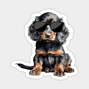 Gordon Setter Puppy Wearing Sunglasses Magnet