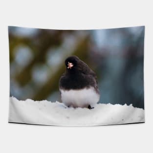 Dark-eyed Junco In The Snow Tapestry