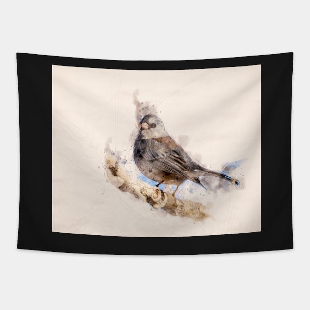 Dark Eyed Junco Watercolor Tapestry by jecphotography