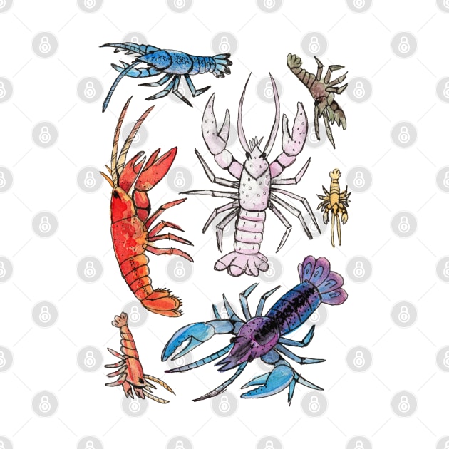 Colorful Aquatic Crayfish Species in Watercolor painting by narwhalwall