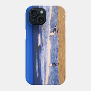 Two seagulls on a sandy beach blue ocean waves in San Diego California Phone Case