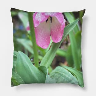 Springtime Pillow