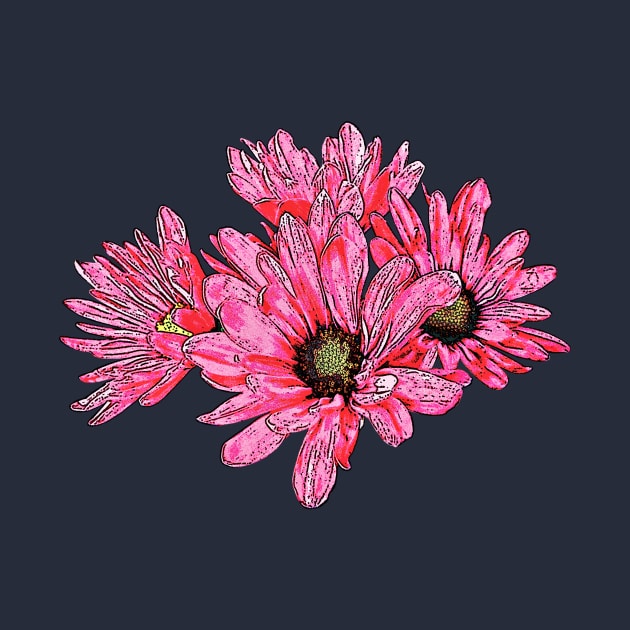 Chrysanthemums - Magenta Mums by SusanSavad