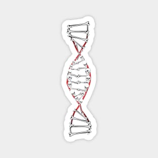 DNA Skull and Bones Magnet