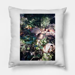 Little mushroom in the garden Pillow