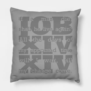 Job 14:14 in Gray Pillow