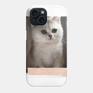 Saba cute cats Phone Case